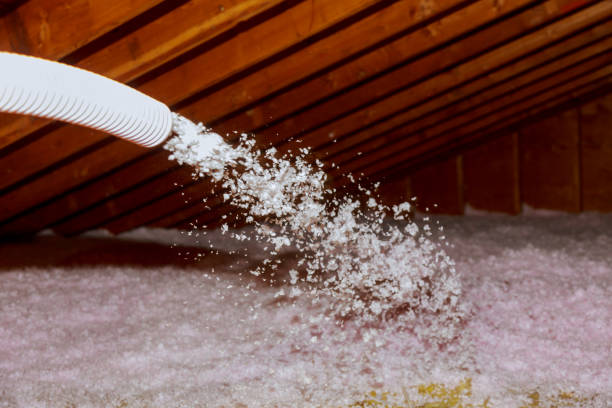 Best Garage Insulation Installation  in Alba, NY
