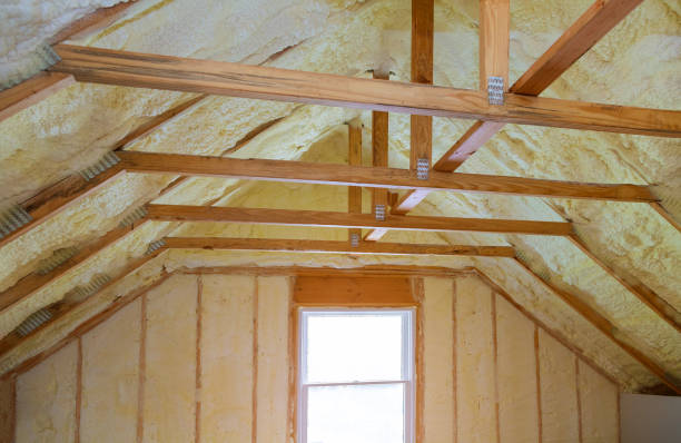 Best Insulation for New Construction  in Alba, NY