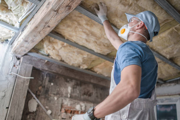 Professional Insulation Contractor in Albany, NY