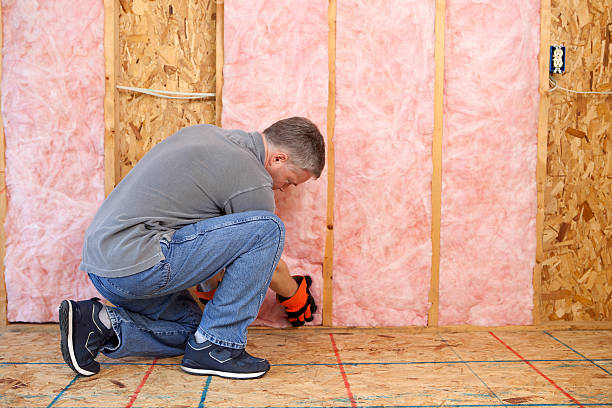 Best Insulation Repair Services  in Alba, NY