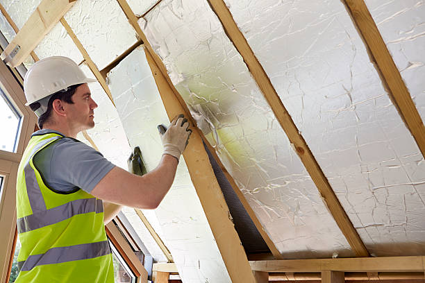 Best Insulation Inspection Services  in Alba, NY
